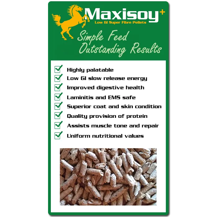 Maxisoy 