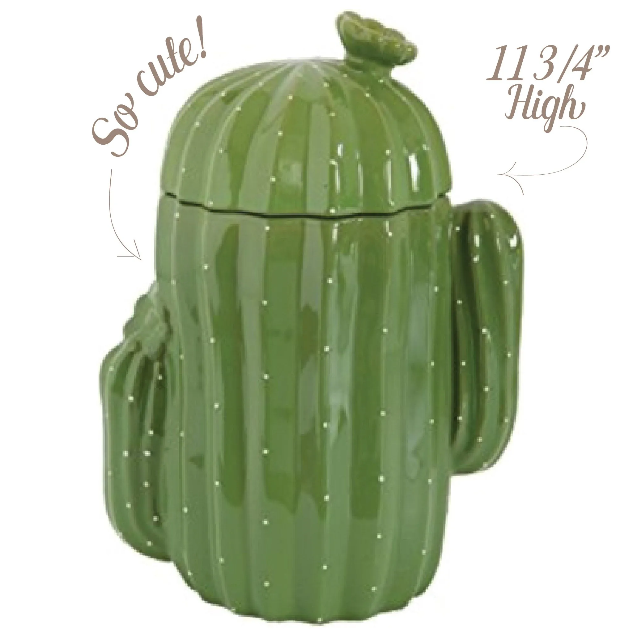 Stoneware Cactus Cookie Jar