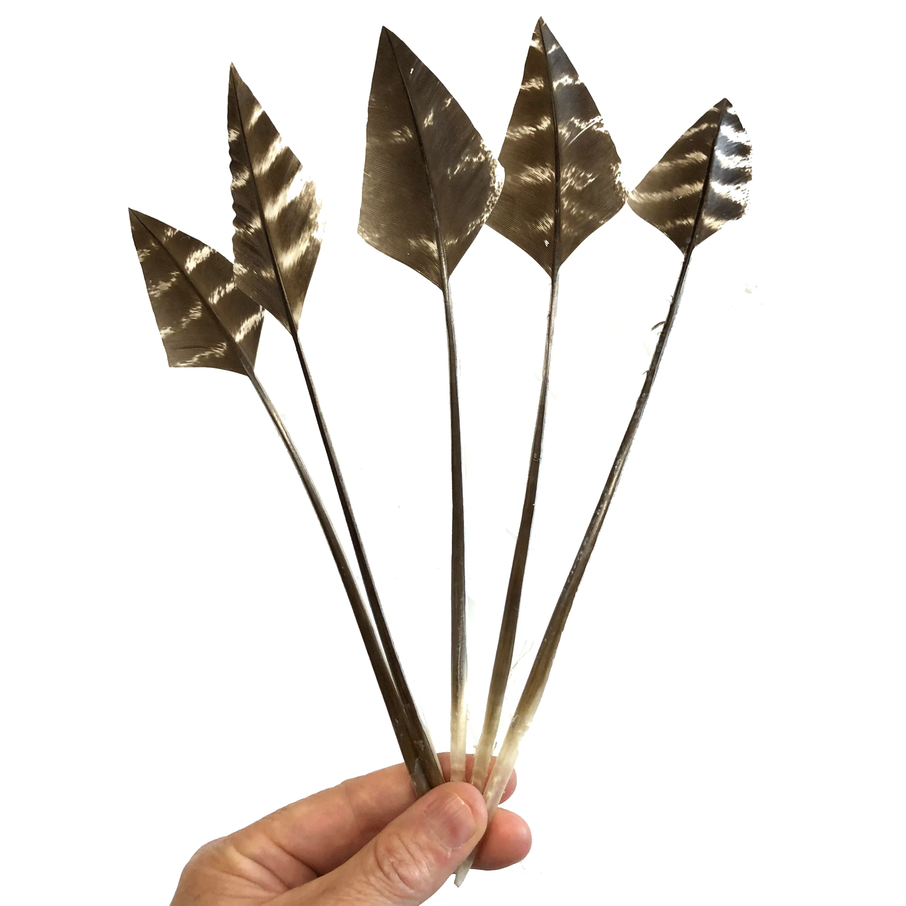 Turkey Wing Arrowhead Feather - Natural Bronze